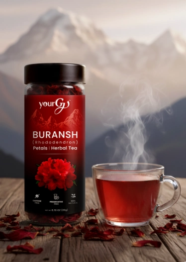 Buransh Petals Herbal Tea