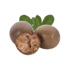 Monk Fruit